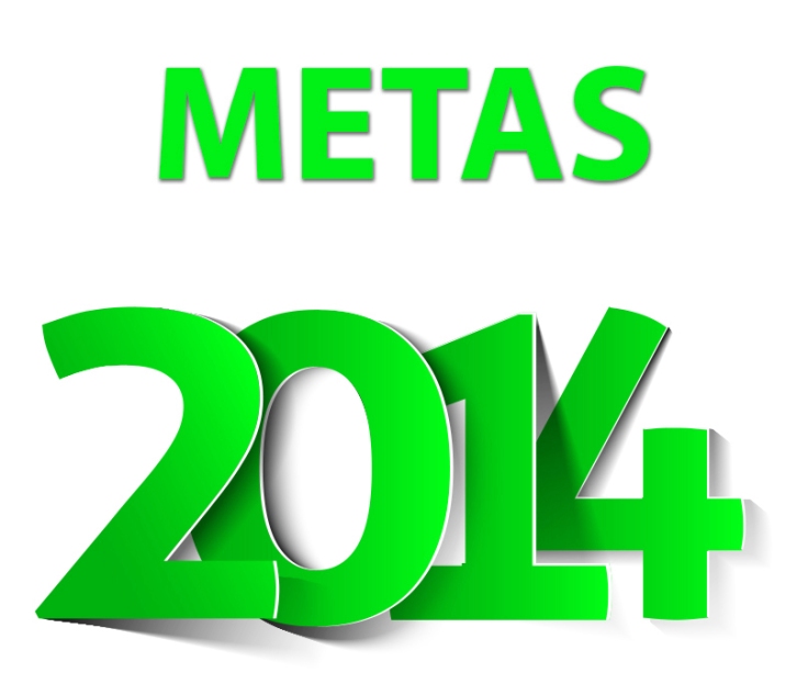 metas2014 (1)